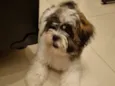 Romeu