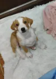 Zoe