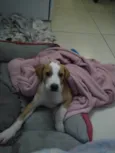 Zoe