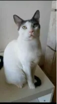 JOHN