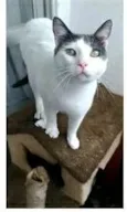 JOHN