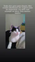 Patrik