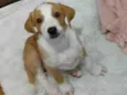 Zoe