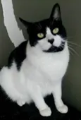 FILÓ