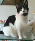 FILÓ