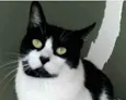 FILÓ