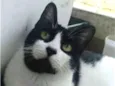 FILÓ