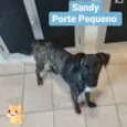 Sandy
