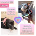 Catarina