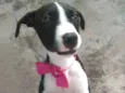 Menina
