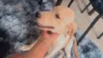 Benny
