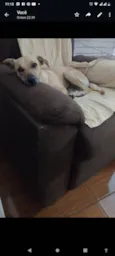 Lili