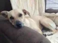 Lili