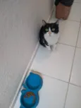 Lola
