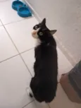 Lola