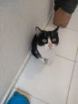 Lola