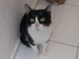 Lola