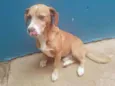 Marley