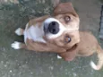 Marley