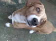 Marley