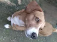 Marley