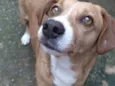 Marley