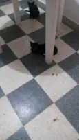 ainda não tem