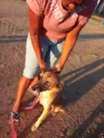 Lora