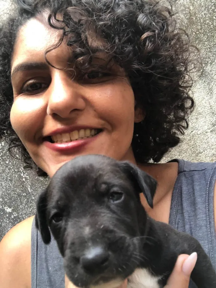 Cachorro raça Indefinido  idade Abaixo de 2 meses nome Filhotes
