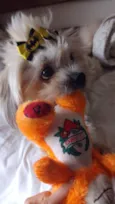 Teo