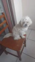 Teo