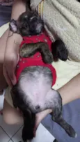 Maggie