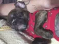 Maggie