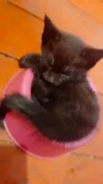 Princesa