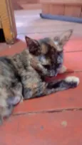 Princesa