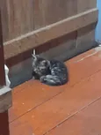Princesa