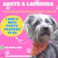 Laurinha Pequena