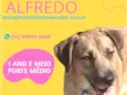 Alfredo