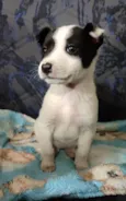 :)