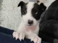 :)