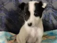 :)