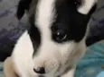 :)