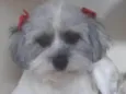 Sofia 
