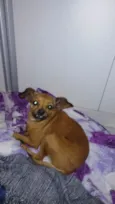 Sem nome
