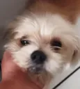 Mel