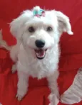 Sophia 