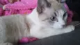 Lucy