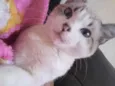 Lucy