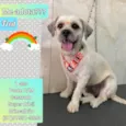 Fred