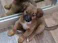 Maggie 